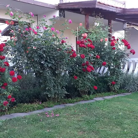 Lejlighed Dida Sapareva Banya